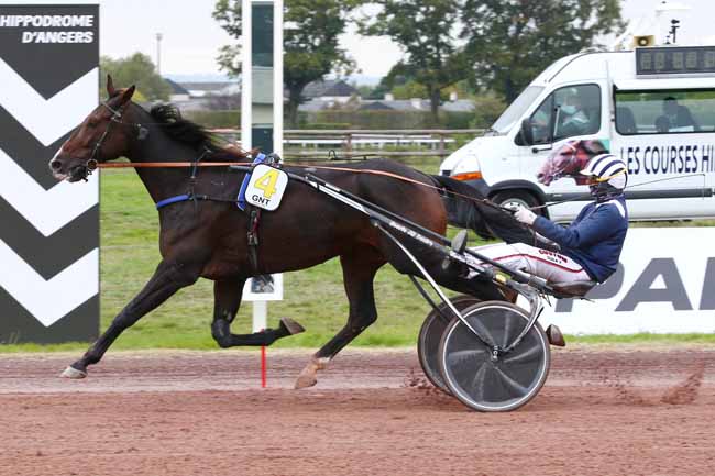Photo d'arrivée de la course pmu GRAND NATIONAL DU TROT PARIS-TURF à ANGERS le Mercredi 14 octobre 2020