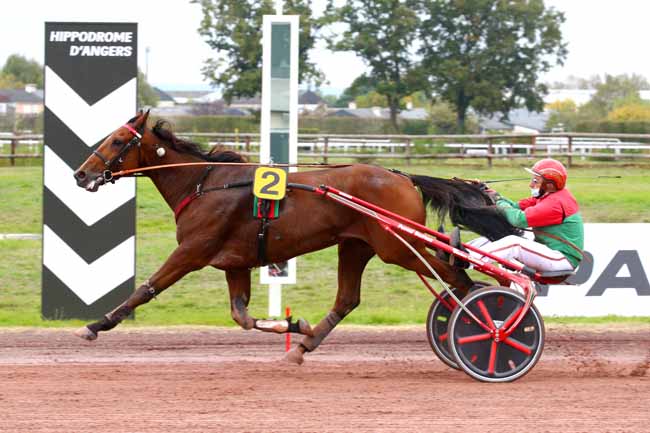 Photo d'arrivée de la course pmu PRIX GENERALI - CABINET ARNAUD DAVID à ANGERS le Mercredi 14 octobre 2020
