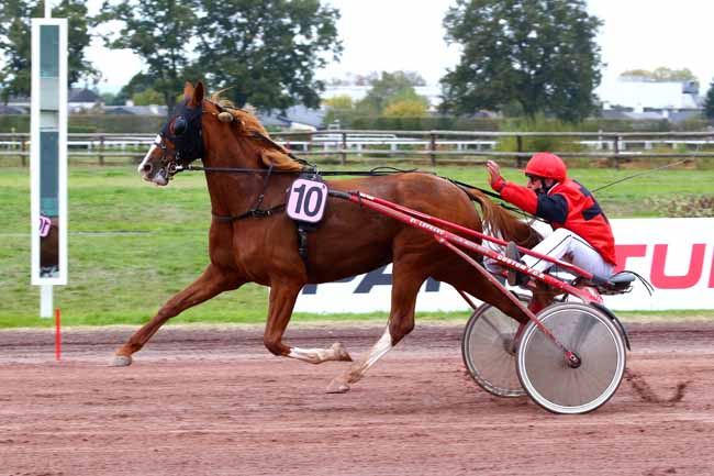 Photo d'arrivée de la course pmu PRIX DE L'HIPPODROME D'ANGERS/ECOUFLANT à ANGERS le Mercredi 14 octobre 2020