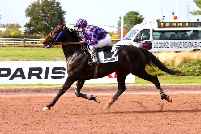 Photo d'arrivée de la course pmu PRIX RED'MILLS à ANGERS le Mercredi 14 octobre 2020
