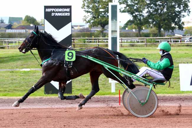 Photo d'arrivée de la course pmu PRIX SOTEBA - RSR/SOTEBA SERVICES à ANGERS le Mercredi 14 octobre 2020