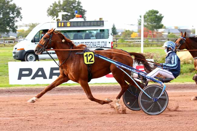 Photo d'arrivée de la course pmu GRAND PRIX DE LA VILLE D'ANGERS à ANGERS le Mercredi 14 octobre 2020