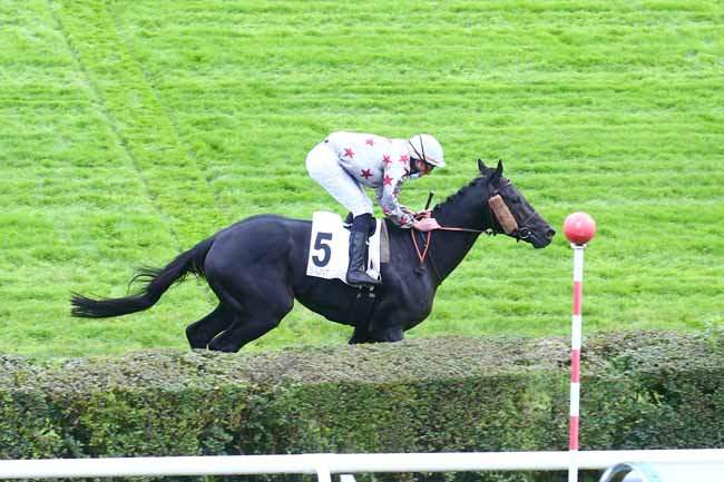 Photo d'arrivée de la course pmu PRIX DU RANELAGH à SAINT-CLOUD le Mercredi 14 octobre 2020