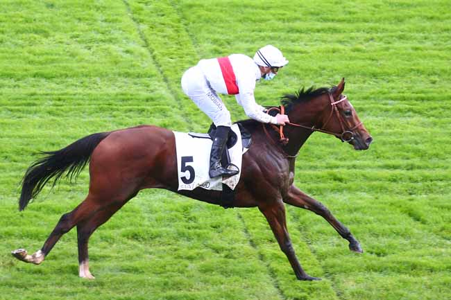 Photo d'arrivée de la course pmu PRIX DE CARRIERES-SOUS-BOIS à SAINT-CLOUD le Mercredi 14 octobre 2020