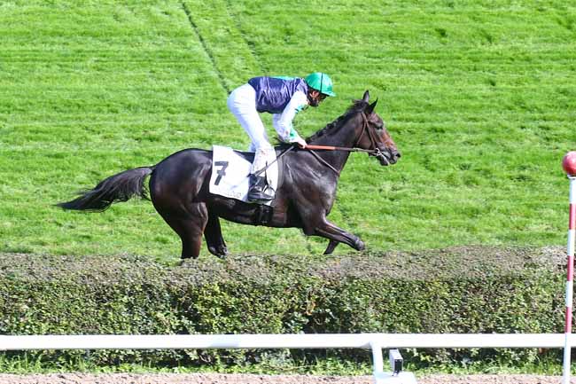 Photo d'arrivée de la course pmu PRIX DIATOME à SAINT-CLOUD le Mercredi 14 octobre 2020