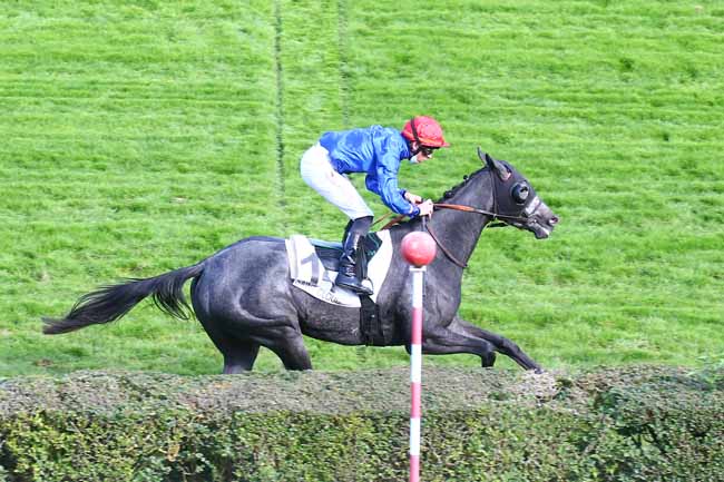Photo d'arrivée de la course pmu PRIX DU VERT CLOS à SAINT-CLOUD le Mercredi 14 octobre 2020