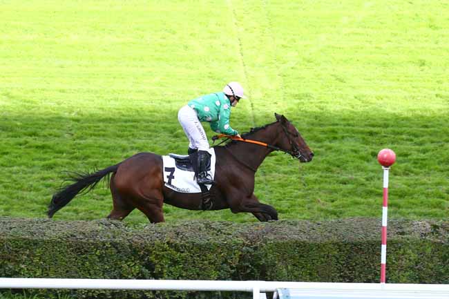 Photo d'arrivée de la course pmu PRIX DE SAINT-HONORAT à SAINT-CLOUD le Mercredi 14 octobre 2020