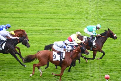 Photo d'arrivée de la course pmu PRIX FERDINAND REAUD à LES SABLES D'OLONNE le Mercredi 14 octobre 2020