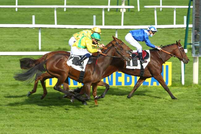 Photo d'arrivée de la course pmu PRIX DE LA MARE AUX OISEAUX à FONTAINEBLEAU le Vendredi 16 octobre 2020