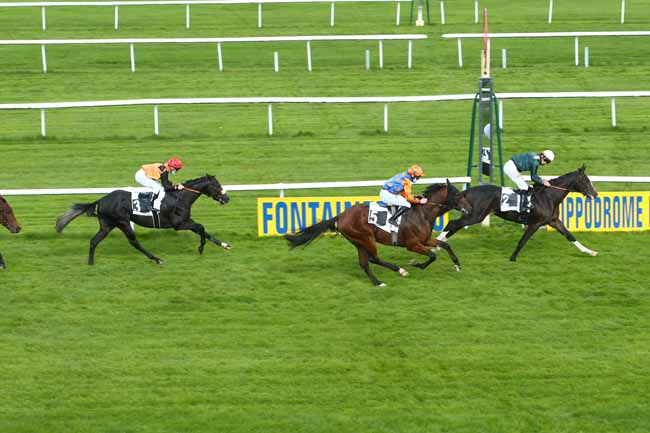 Photo d'arrivée de la course pmu PRIX DES TERRIERS DES HOUX à FONTAINEBLEAU le Vendredi 16 octobre 2020