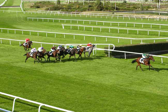 Photo d'arrivée de la course pmu PRIX SERGE BOIREAU à FONTAINEBLEAU le Vendredi 16 octobre 2020