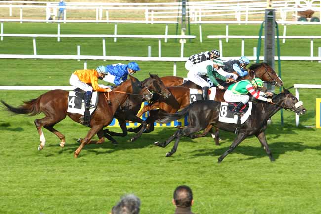 Photo d'arrivée de la course pmu PRIX DU BOIS DE LA TUILERIE à FONTAINEBLEAU le Vendredi 16 octobre 2020