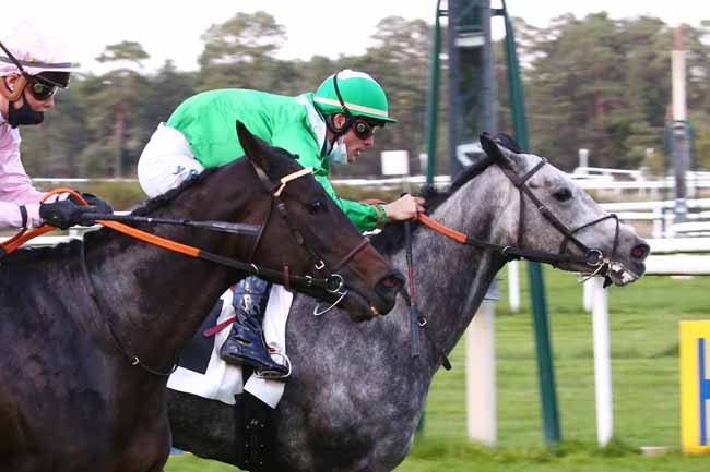 Photo d'arrivée de la course pmu PRIX DE L'ALLEE ARDENT à FONTAINEBLEAU le Vendredi 16 octobre 2020
