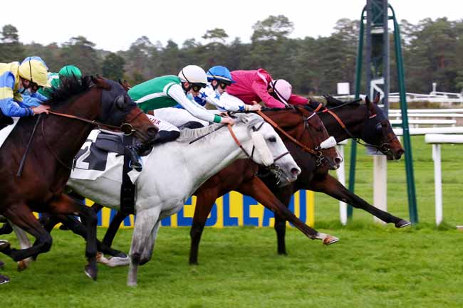 Photo d'arrivée de la course pmu PRIX DE L'ALLEE BALARD à FONTAINEBLEAU le Vendredi 16 octobre 2020