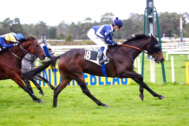 Photo d'arrivée de la course pmu PRIX DE L'ALLEE BRULETTE à FONTAINEBLEAU le Vendredi 16 octobre 2020