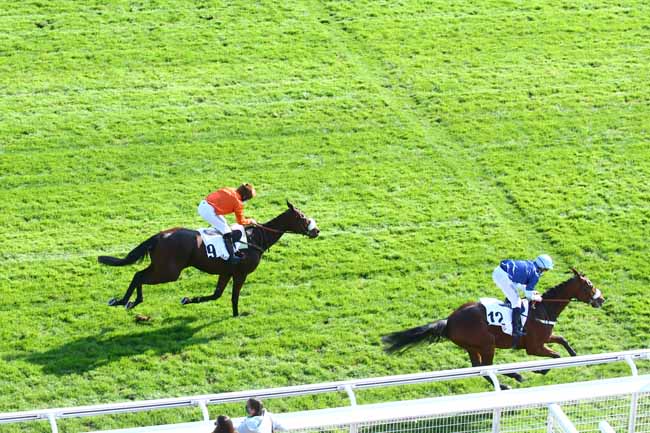 Photo d'arrivée de la course pmu PRIX EMILIUS à AUTEUIL le Dimanche 18 octobre 2020
