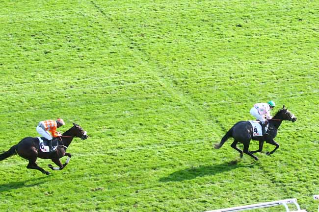 Photo d'arrivée de la course pmu PRIX RMC - PRIX EMILIUS à AUTEUIL le Dimanche 18 octobre 2020