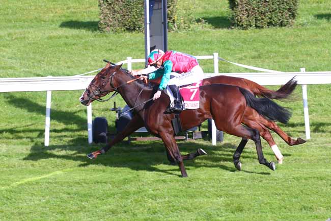 Photo d'arrivée de la course pmu PRIX VIVE LES VACANCES AUX COURSES A CLAIREFONTAINE à CLAIREFONTAINE le Lundi 19 octobre 2020