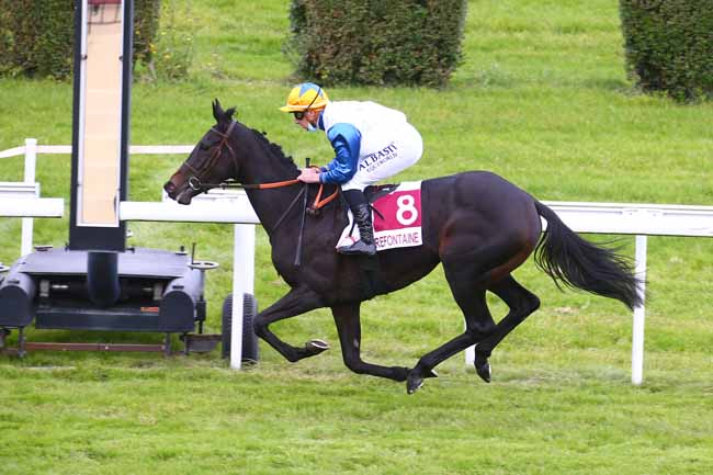 Photo d'arrivée de la course pmu PRIX ASHMORE à CLAIREFONTAINE le Lundi 19 octobre 2020