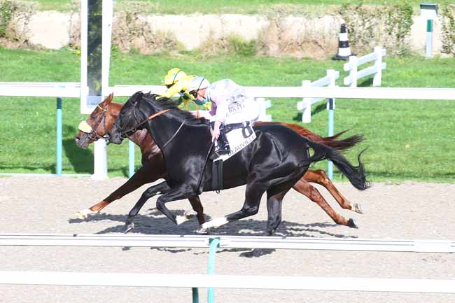 Photo d'arrivée de la course pmu PRIX DU PONT D'OUILLY à DEAUVILLE le Mercredi 21 octobre 2020