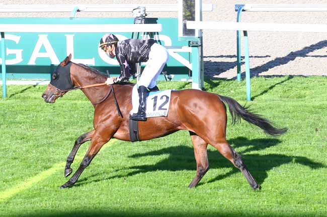 Photo d'arrivée de la course pmu PRIX DES TROIS MARES à DEAUVILLE le Mercredi 21 octobre 2020
