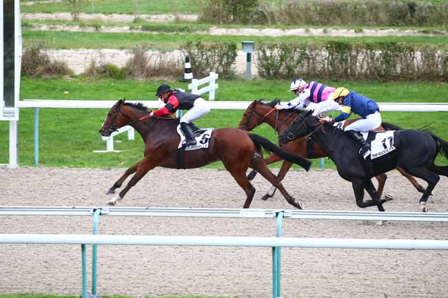 Photo d'arrivée de la course pmu PRIX DE L'ETABLISSEMENT DES VENTES à DEAUVILLE le Mercredi 21 octobre 2020