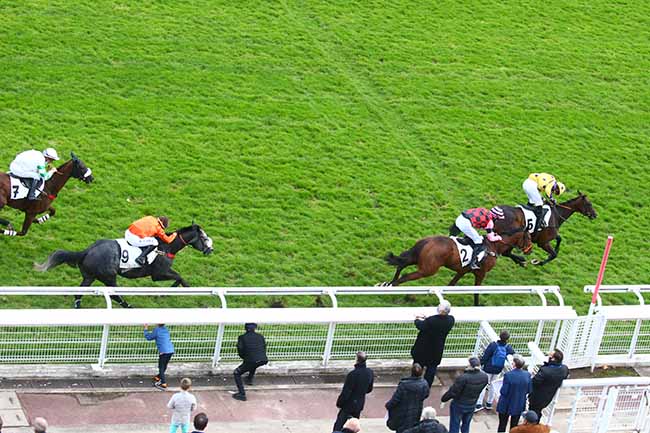 Photo d'arrivée de la course pmu PRIX SANTO PIETRO à AUTEUIL le Jeudi 22 octobre 2020