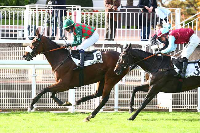Photo d'arrivée de la course pmu PRIX CLAUDE LE LORRAIN - PRIX JOSEPH AUDON à AUTEUIL le Jeudi 22 octobre 2020