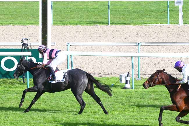 Photo d'arrivée de la course pmu PRIX D'HOTOT-EN-AUGE à DEAUVILLE le Jeudi 22 octobre 2020