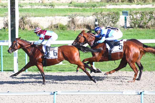 Photo d'arrivée de la course pmu PRIX ARAZI à DEAUVILLE le Jeudi 22 octobre 2020