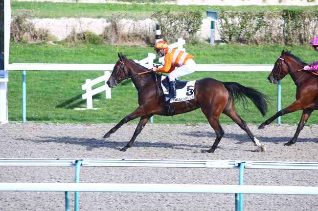 Photo d'arrivée de la course pmu PRIX HIPPODAMIA à DEAUVILLE le Jeudi 22 octobre 2020