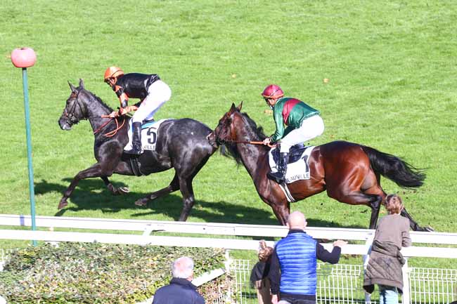 Photo d'arrivée de la course pmu PRIX DE VARANVILLE à DEAUVILLE le Jeudi 22 octobre 2020