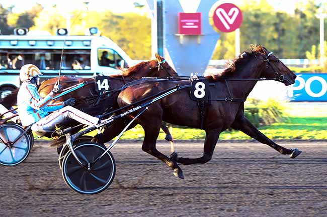 Photo d'arrivée de la course pmu PRIX PIERRE VAN TROYEN à PARIS-VINCENNES le Vendredi 23 octobre 2020