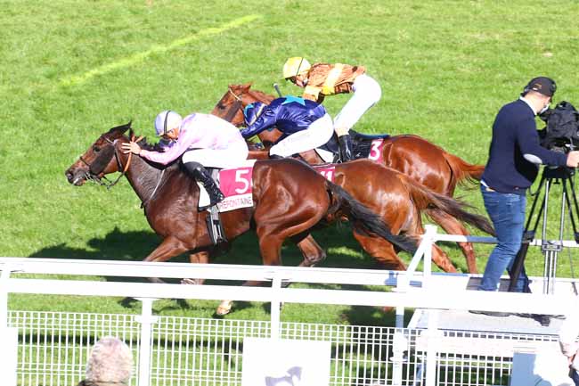 Photo d'arrivée de la course pmu PRIX DES ASTREES à CLAIREFONTAINE le Vendredi 23 octobre 2020