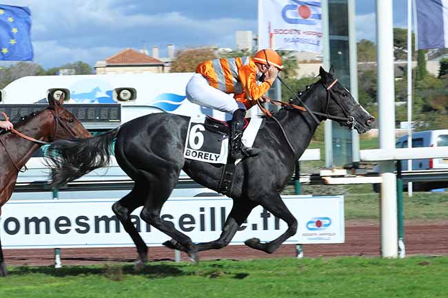 Photo d'arrivée de la course pmu PRIX DELAHANTE à MARSEILLE-BORELY le Lundi 26 octobre 2020
