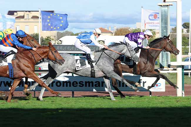 Photo d'arrivée de la course pmu GRAND PRIX DES PROVINCES - PRIX ANDRE BABOIN - 12ème étape du Défi du Galop à MARSEILLE-BORELY le Lundi 26 octobre 2020