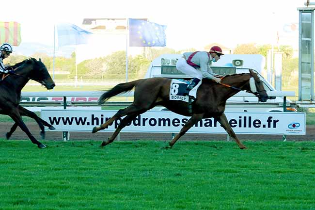 Photo d'arrivée de la course pmu PRIX DES SOCIETAIRES à MARSEILLE-BORELY le Lundi 26 octobre 2020