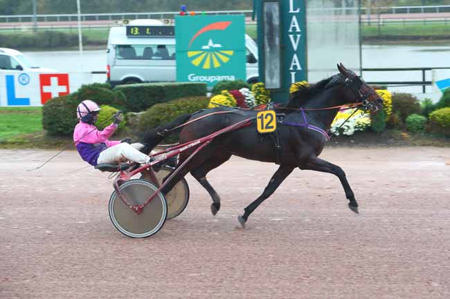 Photo d'arrivée de la course pmu GRAND PRIX DE LA VILLE DE LAVAL à LAVAL le Dimanche 1 novembre 2020