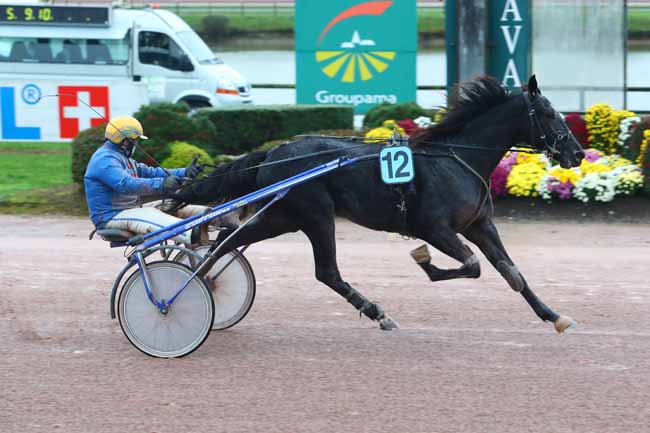 Photo d'arrivée de la course pmu PRIX ALBERT ET RAYMOND POITEVIN à LAVAL le Dimanche 1 novembre 2020
