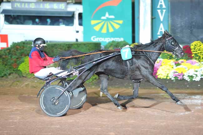 Photo d'arrivée de la course pmu PRIX GEORGES PORCHER à LAVAL le Dimanche 1 novembre 2020