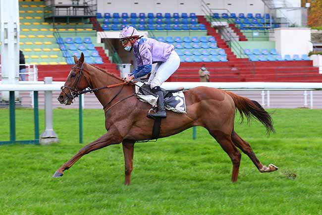 Photo d'arrivée de la course pmu PRIX COLONEL D'ENGLESQUEVILLE à COMPIEGNE le Dimanche 1 novembre 2020
