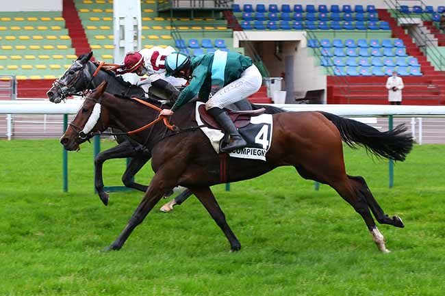 Photo d'arrivée de la course pmu PRIX CEREALISTE à COMPIEGNE le Dimanche 1 novembre 2020