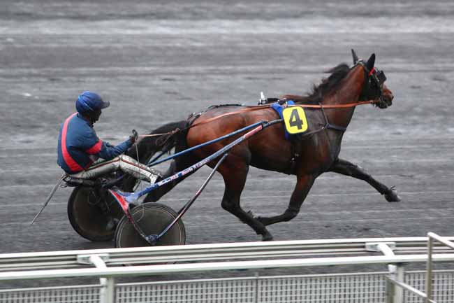 Photo d'arrivée de la course pmu PRIX DE CASTELSARRASIN à PARIS-VINCENNES le Lundi 2 novembre 2020