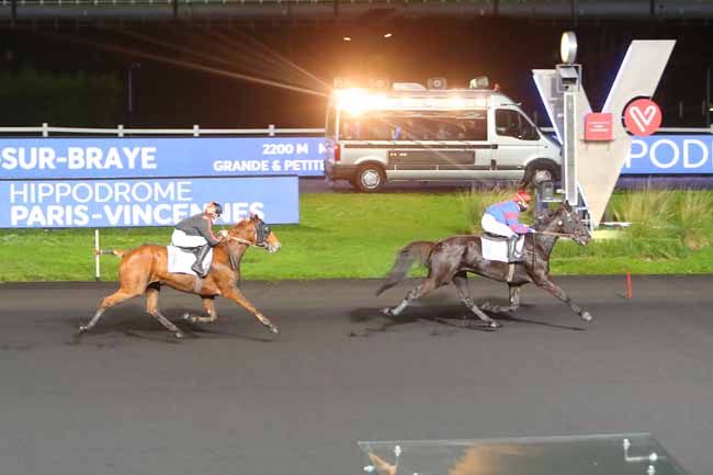 Photo d'arrivée de la course pmu PRIX DE SAVIGNY-SUR-BRAYE à PARIS-VINCENNES le Lundi 2 novembre 2020