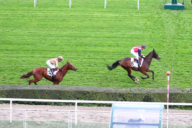 Photo d'arrivée de la course pmu PRIX DOUVE à SAINT-CLOUD le Mardi 3 novembre 2020