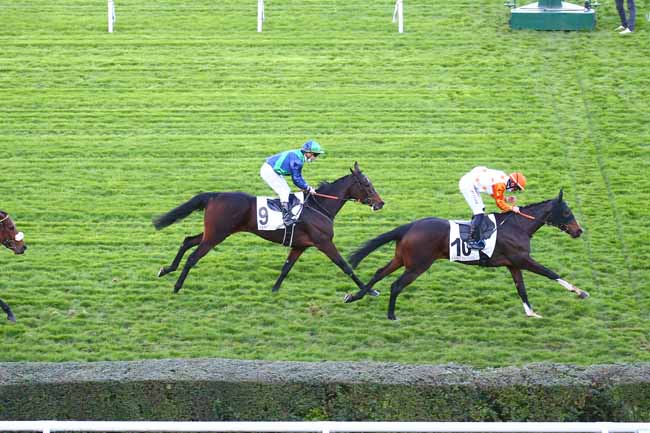 Photo d'arrivée de la course pmu PRIX POLIGLOTE à SAINT-CLOUD le Mardi 3 novembre 2020