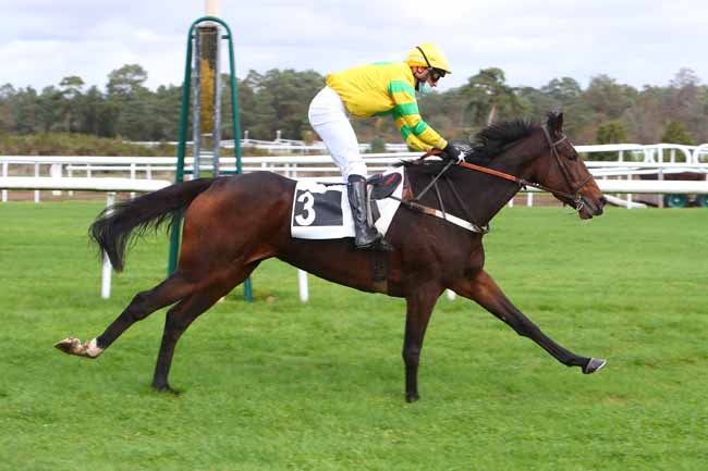 Photo d'arrivée de la course pmu PRIX GAUTIER DE LA SELLE à FONTAINEBLEAU le Mardi 3 novembre 2020