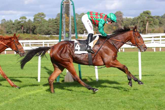 Photo d'arrivée de la course pmu PRIX COLONEL ROBERT LABOUCHE à FONTAINEBLEAU le Mardi 3 novembre 2020
