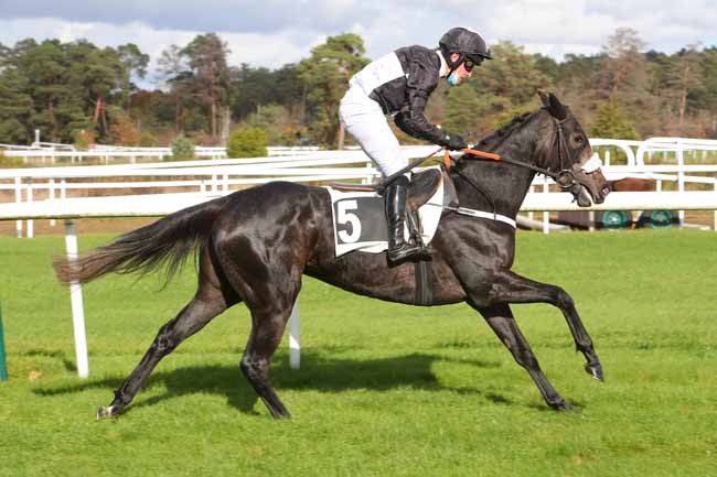 Photo d'arrivée de la course pmu PRIX DU CONSEIL MUNICIPAL DE CHAMPAGNE-SUR-SEINE à FONTAINEBLEAU le Mardi 3 novembre 2020