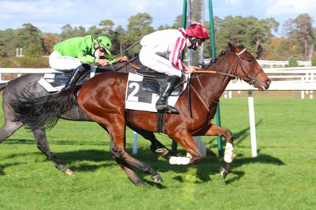 Photo d'arrivée de la course pmu PRIX DE LA CHAMBRE DE COMMERCE ET D'INDUSTRIE DE SEINE ET MARN à FONTAINEBLEAU le Mardi 3 novembre 2020